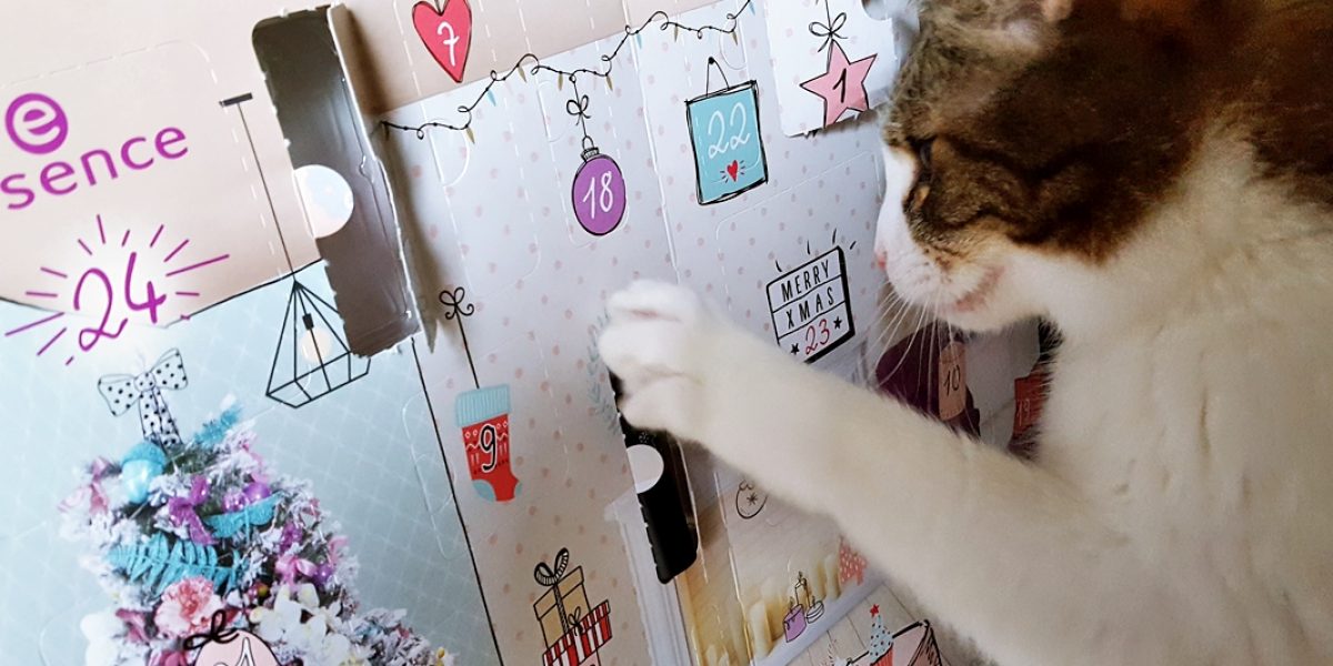 Advent calendars 2017